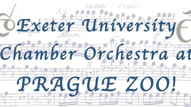 (c) The University of Exeter