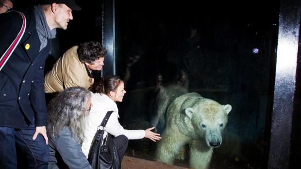 Photo: Tomáš Adamec, Prague Zoo