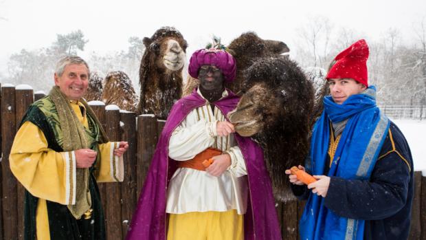 Tři králové v pražské zoo. Foto: Václav Šilha, Zoo Praha