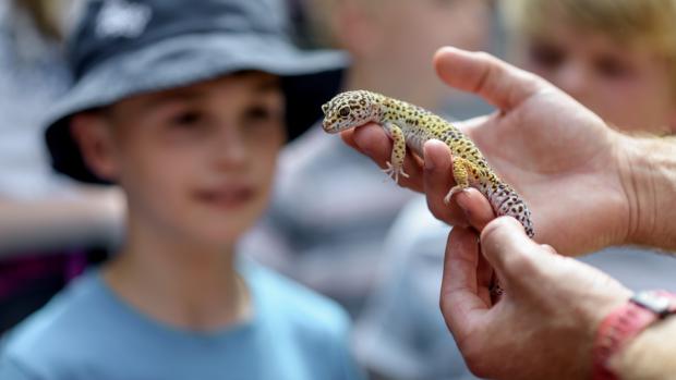 Foto: Petr Hamerník, Zoo Praha
