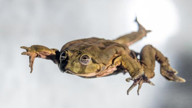 Foto: Petr Hamerník, Zoo Praha