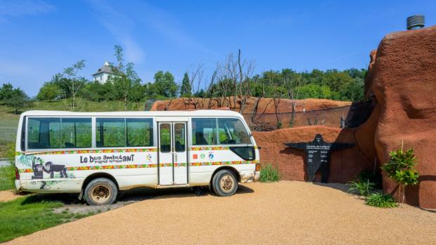 První Toulavý autobus, který po kamerunských cestách najezdil desetitisíce kilometrů, je nyní vystaven před novým pavilonem goril. Foto: Petr Hamerník, Zoo Praha