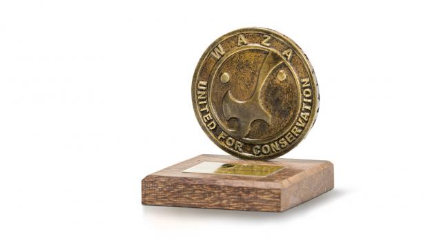Эта высшая всемирная награда присваивается зоопаркам лишь в шестой раз. WAZA Conservation Award Пражский зоопарк получил за свой проект «Возвращение диких лошадей». Автор: Петр Гамэрник, Пражский зоопарк