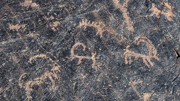 The stone with petroglyphs in the Great Gobi B area. Photo: Miroslav Bobek, Prague Zoo