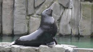 Photo: Prague Zoo Archive