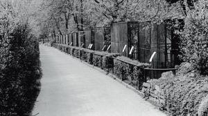 Photo: Prague Zoo’s archive