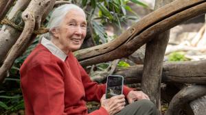 Jane Goodall, foto: Oliver Le Que, Zoo Praha