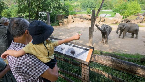 Foto: Petr Hamerník, Zoo Praha