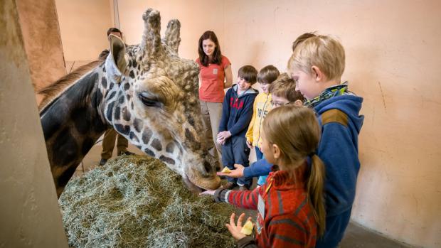 Foto: Petr Hamerník, Zoo Praha