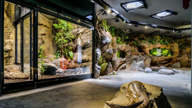 The Giant Salamander´s Pavilion, photo: Tomáš Adamec, Prague Zoo