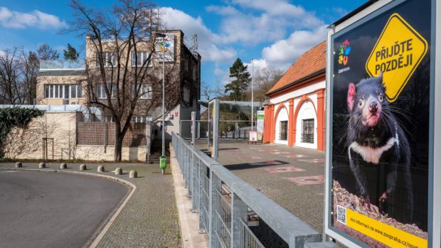 Uzavřená Zoo Praha v rámci opatření proti šíření koronaviru. Foto: Miroslav Bobek, Zoo Praha.