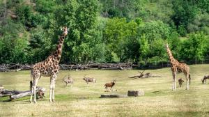 Foto: Oliver Le Que, Zoo Praha