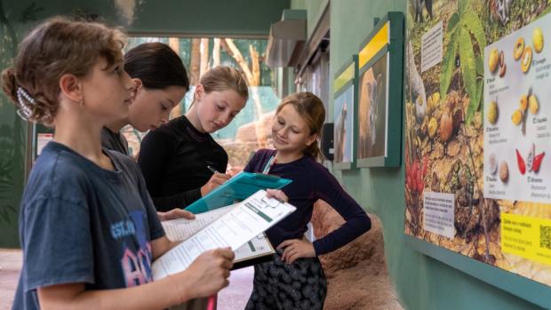 Foto: Oliver Le Que, Zoo Praha