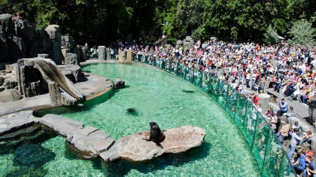 Expozice lachtanů, foto: Tomáš Adamec, Zoo Praha