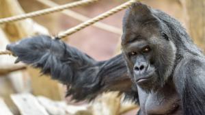Foto: Petr Hamerník, Zoo Praha