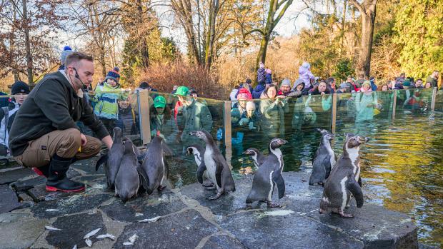 Na Silvestra i na Nový rok proběhne v Zoo Praha celá řada komentovaných krmení. Foto Petr Hamerník, Zoo Praha