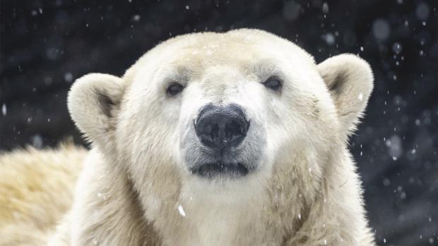 Foto: Oliver Le Que, Zoo Praha