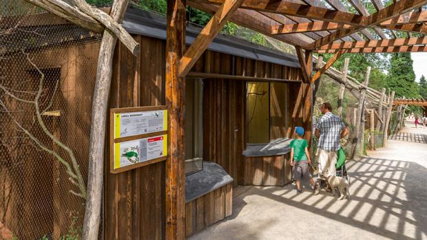 Parrot´s Trail, photo: Petr Hamerník, Zoo Praha