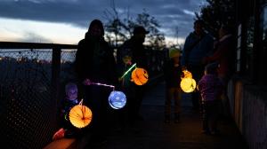 Foto: Petr Hamerník, Zoo Praha