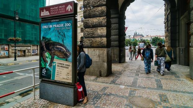 Karlo, the unique Giant Salamander, one of the largest of its kind, is a wonderful attraction, and not only for foreign visitors. Photo Petr Hamerník, Prague Zoo