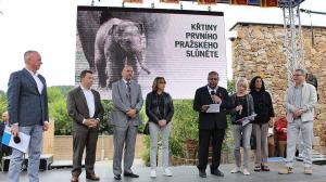 Slavnostní program u příležitosti křtin prvního stoprocentně pražského slůněte byl zahájen za přítomnosti významných hostů a kmotrů. Foto: Václav Šilha, Zoo Praha