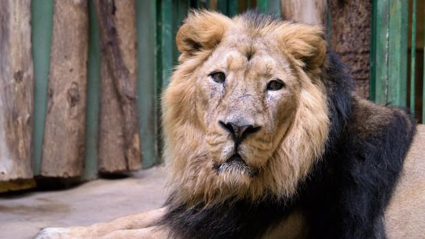 Foto: Petr Hamerník, Zoo Praha