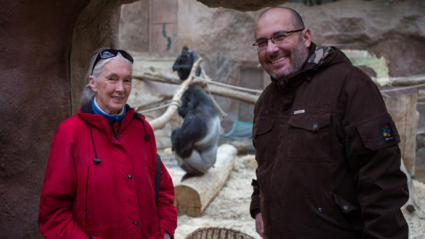 Jane Goodall v doprovodu ředitele zoo Miroslava Bobka navštívila i Pavilon goril. Foto: Václav Šilha, Zoo Praha. 