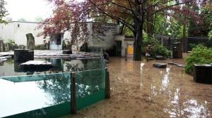 Foto: Archiv Zoo Praha