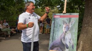 Mládě klokana horského, které poprvé vykouklo z vaku 22. ledna 2019, se jmenuje Tonda. Jméno v neděli slavnostně odhalil Antonín Panenka, fotbalová legenda a prezident fotbalového klubu Bohemians Praha 1905. Foto: Tereza Mrhálková, Zoo Praha