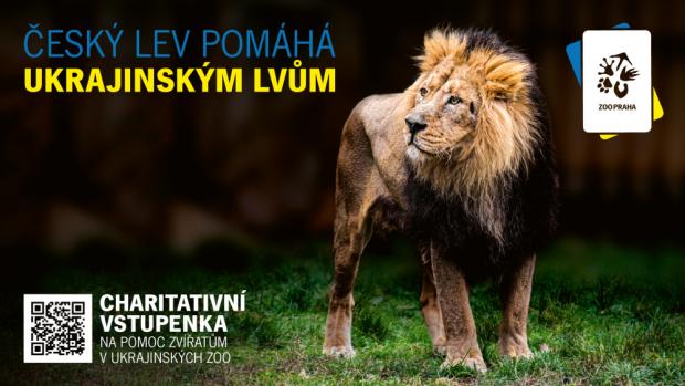 Now all those interested can buy the “Charity Ticket”. All funds collected go to a special sub-account of the We Help Them Survive collection and will be used to help Ukrainian zoos. Source Prague Zoo 