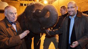 V listopadu 2012 se profesor Josef Koutecký setkal se slonicemi Tamarou a Janitou, které dříve toho roku přicestovaly ze Srí Lanky. Foto: Tomáš Adamec, Zoo Praha