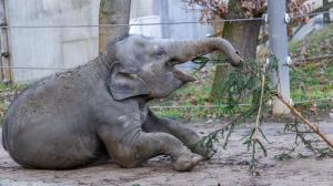 Foto Petr Hamerník, Zoo Praha