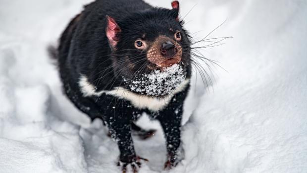 Foto: Petr Hamerník, Zoo Praha