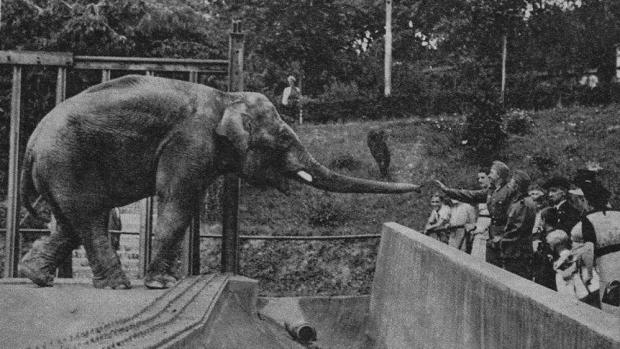 Němečtí vojáci v zoo, foto (c) Archiv Zoo Praha