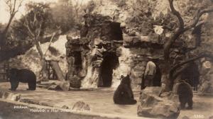 Historická pohlednice - Medvědi v Jelením příkopě rok 1922, Archiv Miroslava Bobka