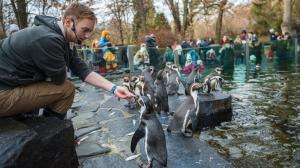 Foto: Petr Hamerník, Zoo Praha