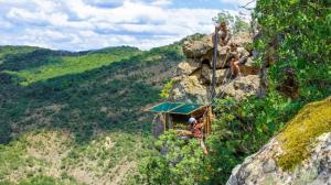 Placing of vultures on an artificial nest in eastern Rhodopes in August 2018. Photo: Sabina Rašková, Prague Zoo