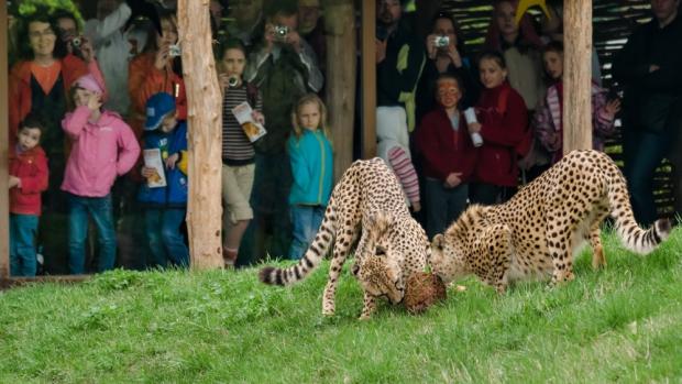 Kito a Kubango, foto: Petr Hamerník