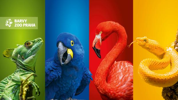 Barvy Zoo Praha