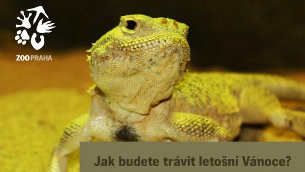 (c) Zoo Praha
