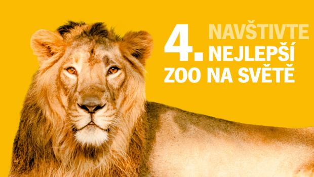 Zoo Praha se umístila jako čtvrtá nejlepší zoologická zahrada na světě. 