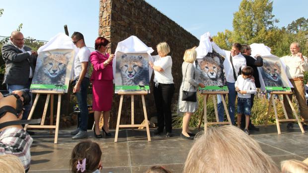 Kmotry gepardích mláďat narozených 14. května se stali Jakub Holuša a zástupci hl. m. Prahy. Foto: Tereza Mrhálková, Zoo Praha