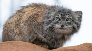 Foto: Petr Hamerník, Zoo Praha