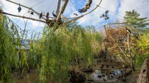 Ptačí mokřady, foto: Petr Hamerník, Zoo Praha