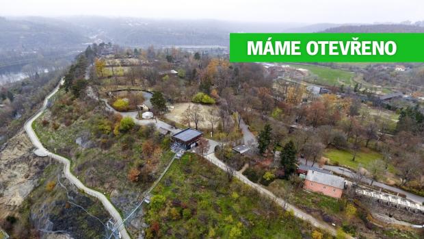 Přístupné jsou venkovní prostory zoo. Maximální počet návštěvníků v jeden čas je 4 000. Otevřeno máme do 19.00