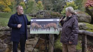 „Ušatá“ mláďata dostala jména Eburu a Meru. Na fotografii zleva youtuber Jakub Steklý alias Stejk a chovatelka Lucie Křížová. Foto Václav Šilha, Zoo Praha