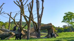 Foto: Petr Hamerník, Zoo Praha