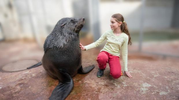 Foto: Petr Hamerník, Zoo Praha