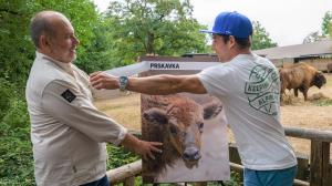 Odhalení jména nejmladšího přírůstku ve stádě zubrů v Zoo Praha se společnými silami zhostili ředitel Zoo Praha Miroslav Bobek a vodní slalomář Jiří Prskavec mladší. Foto: Petr Hamerník, Zoo Praha 