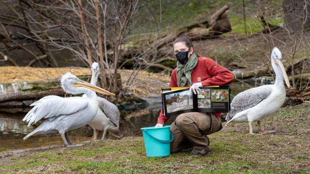 Fotokniha Ztichlá zoo vypráví prostřednictvím 126 fotografií příběhy z uzavřeného areálu Zoo Praha. Do její propagace se zapojili i zaměstnanci zoo a vypráví detaily vzniku původních fotografií zachycených právě v nové publikaci. Na snímku vrchní chovatelka Aneta Kratochvílová. Autor: Oliver Le Que, Zoo Praha